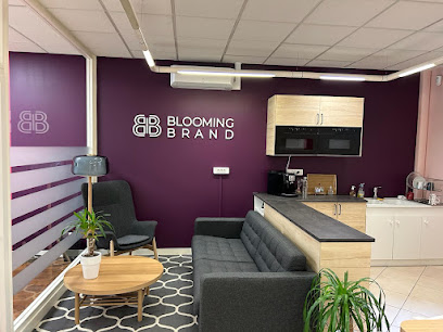 Blooming Brand - Agence Marketing 360° Reprise D'entreprise Agence De Marketing à Lyon 06