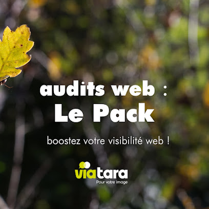 Via Tara, Votre Visibilité Sur Le Web, Service De Marketing Internet à Saint-Affrique