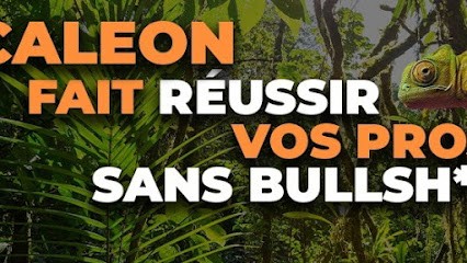 Scaleon agency, Agence de Marketing à Paris 08