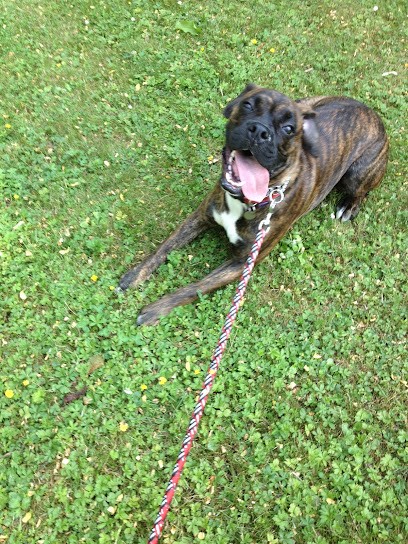 LME CONSEILS, Agence de Marketing Digital à Schiltigheim