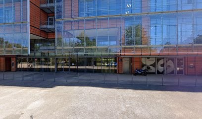 Les Derniers Seront Les Premiers, Agence de Marketing à Lyon 06