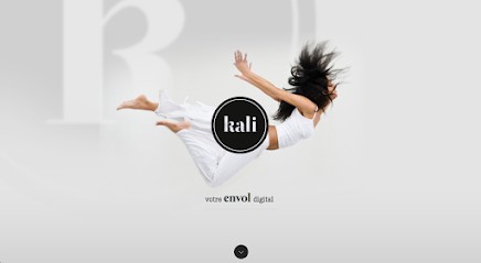 Agence kali, Agence de Marketing Digital à Lyon 01