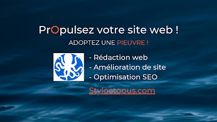 StylOctopus, Agence de Marketing Digital à Epagny Metz-Tessy