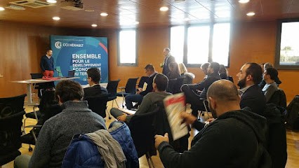 Cibleweb, Agence de Marketing Digital à Béziers