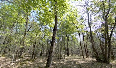 Virtual Home Visit, Agence de Marketing Digital à Lignières-de-Touraine