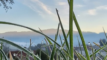 Weasy Marketing-food, Agence de Marketing à Villers-le-Lac