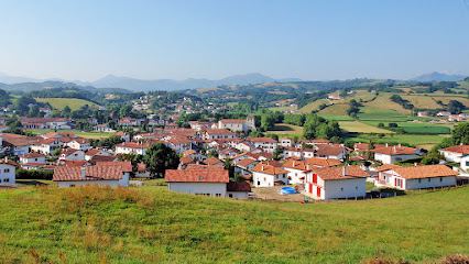 Rush Damage : Agence Web Au Pays Basque Agence De Marketing à Saint-Pée-sur-Nivelle