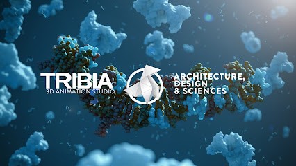 TRIBIA, Agence de Marketing Digital à Bègles
