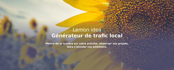 Agence Lemon Idea Agence De Marketing à Paris 12