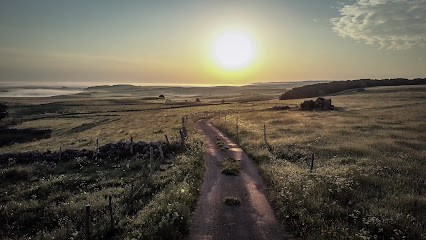 Agence De Communication Scribe, Agence de Marketing Digital à Lavaur