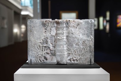 Observascope, Agence de Marketing à Montpellier