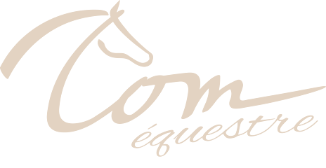 Com'équestre : Agence De Marketing Digital, Service De Marketing Internet à Laragne-Montéglin