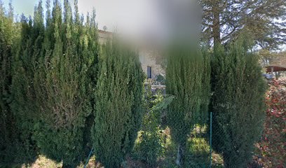 Digit-Conseil Web - Agence Référencement Local SEO, Agence de Marketing Digital à Saint-Paul-en-Forêt