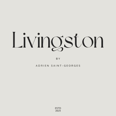 Livingston Copywriting, Agence de Marketing Digital à Saint-Jean-de-Védas