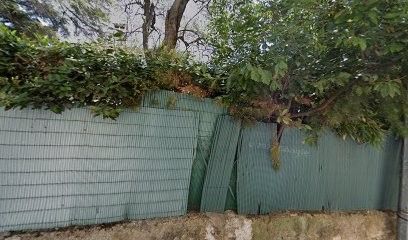 KaizenEvolution, Agence de Marketing à Cannes