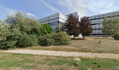 The Bees Camp, Agence de Marketing Digital à Fragnes-La Loyère