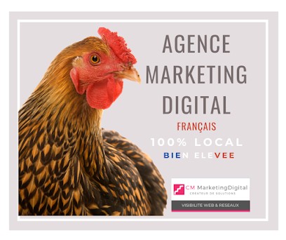 CM Marketing Digital, Agence de Marketing à Seysses-Savès