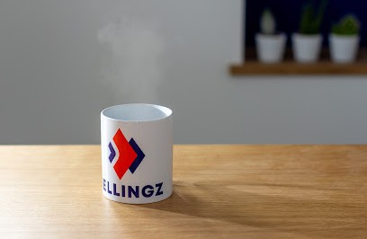 Sellingz - Agence De Stratégie Sur Amazon Et Marketplaces, Agence de Marketing Digital à Meythet